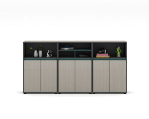 Low cabinet